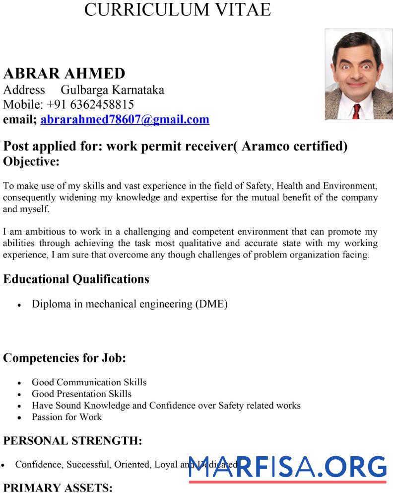 Realistic India work permit example